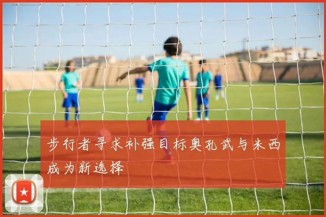 步行者寻求补强目标奥孔武与米西成为新选择
